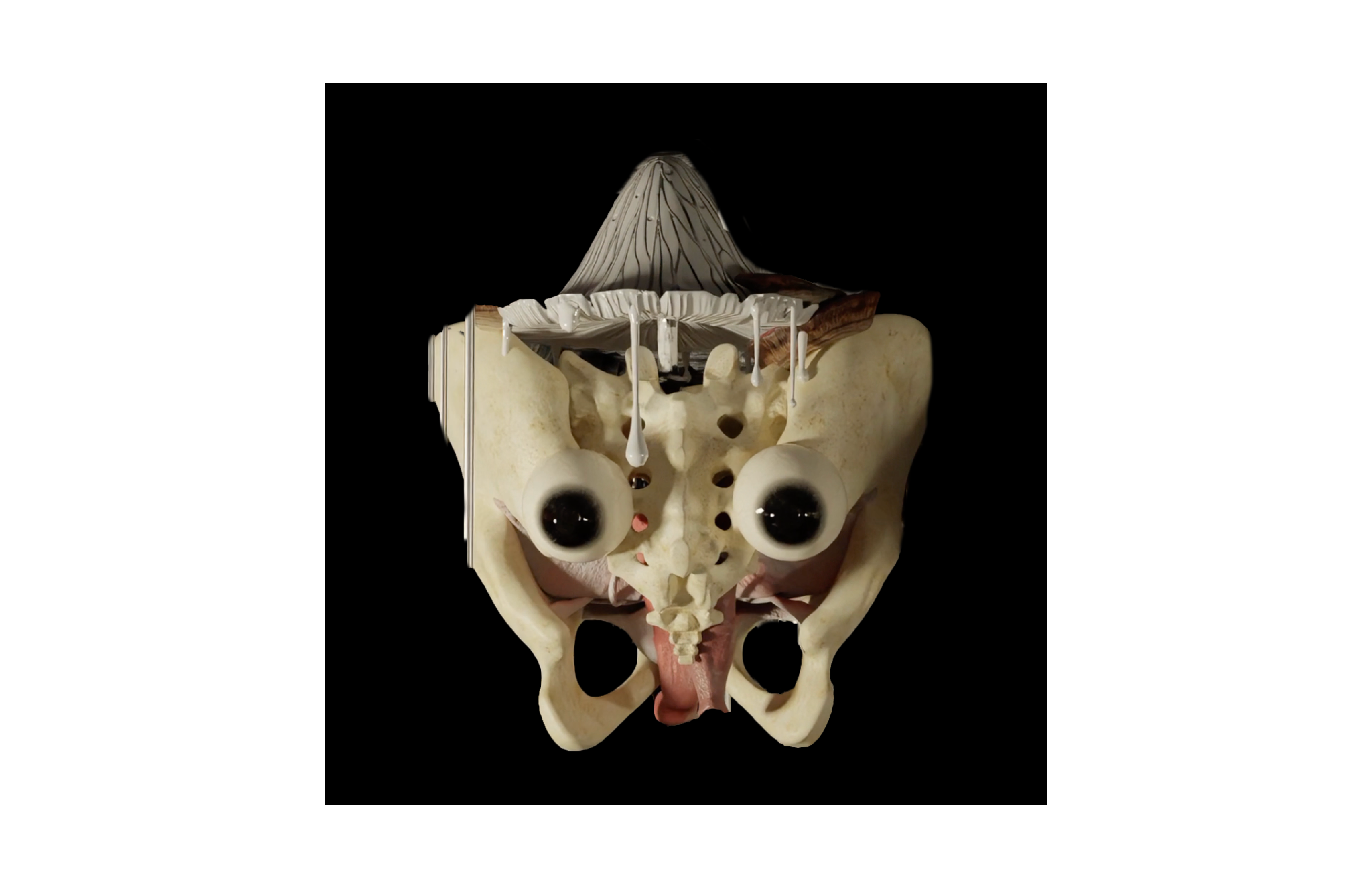 Pelvis avatar